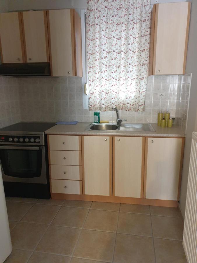 Comfortable Apartment In The Center Of Volos Very Close To The Port Exteriör bild